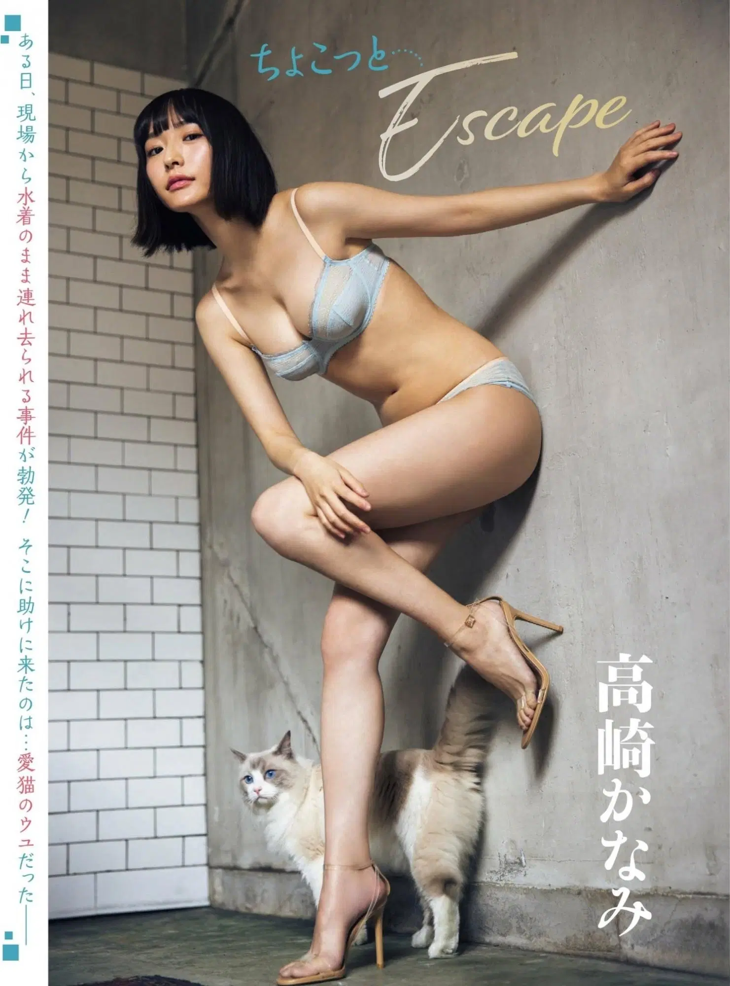 [高崎かなみ] 「女友力100%」大長腿白晰肌膚 愈看愈享受 (9P)