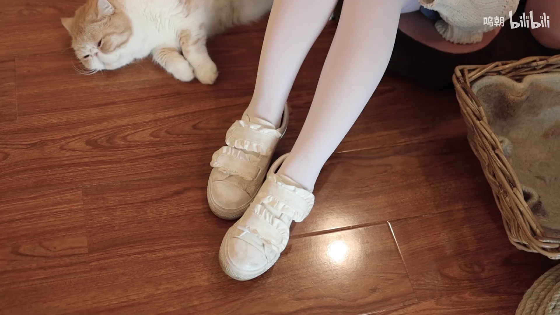 猫咪与白色花絮_115604195382948_20260820_223932