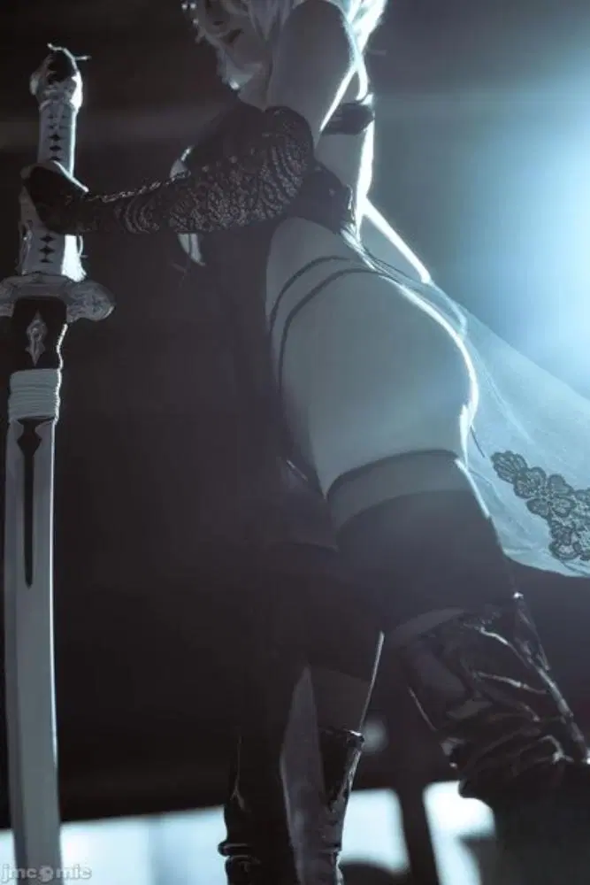 秋和柯基 - Nier Automata - 2B (66P)