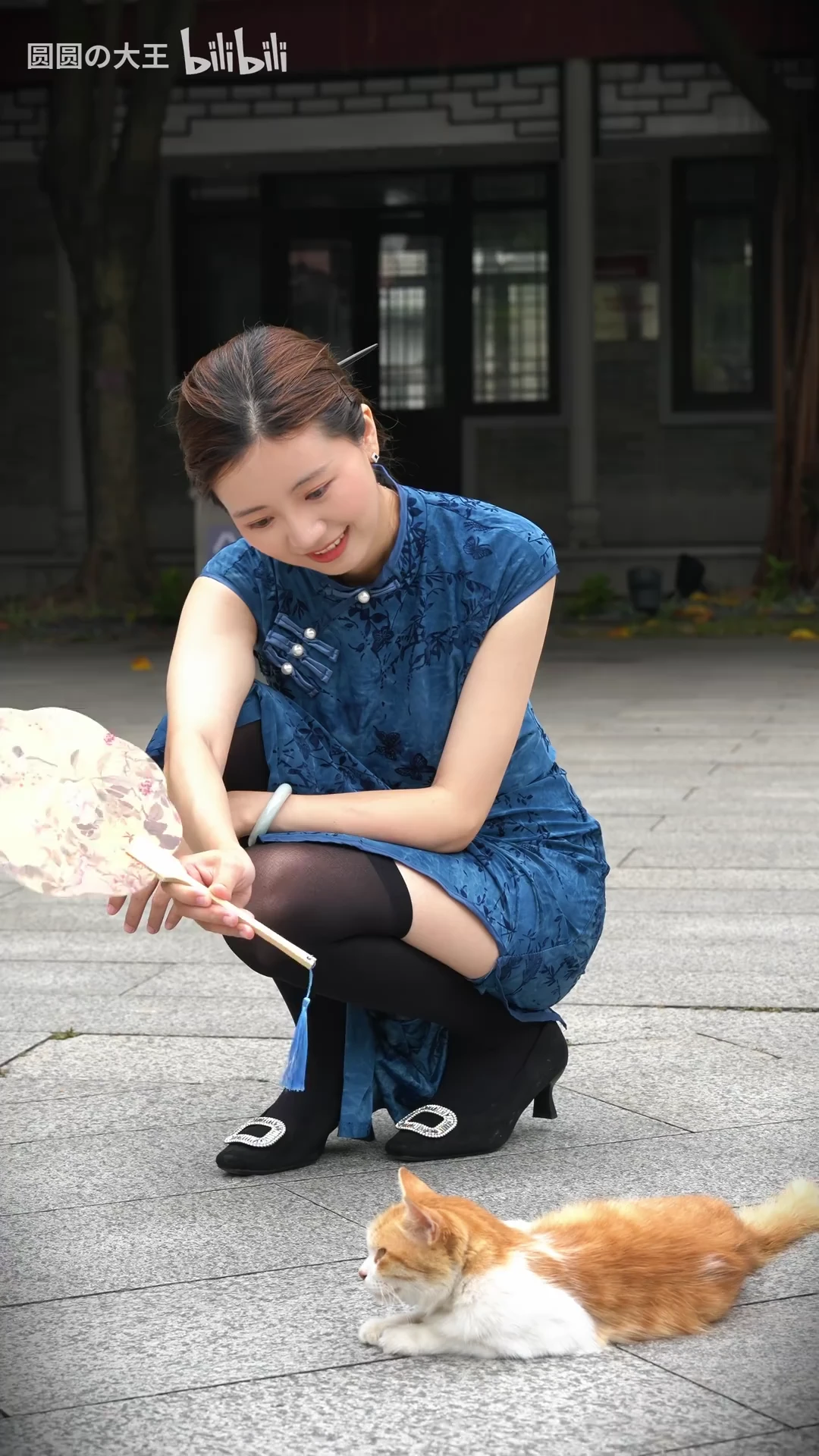忍不住跟着唱&hellip;曼波~出来拍照发现了这只哈基米，好悠闲_116685604395569_20260821_002545