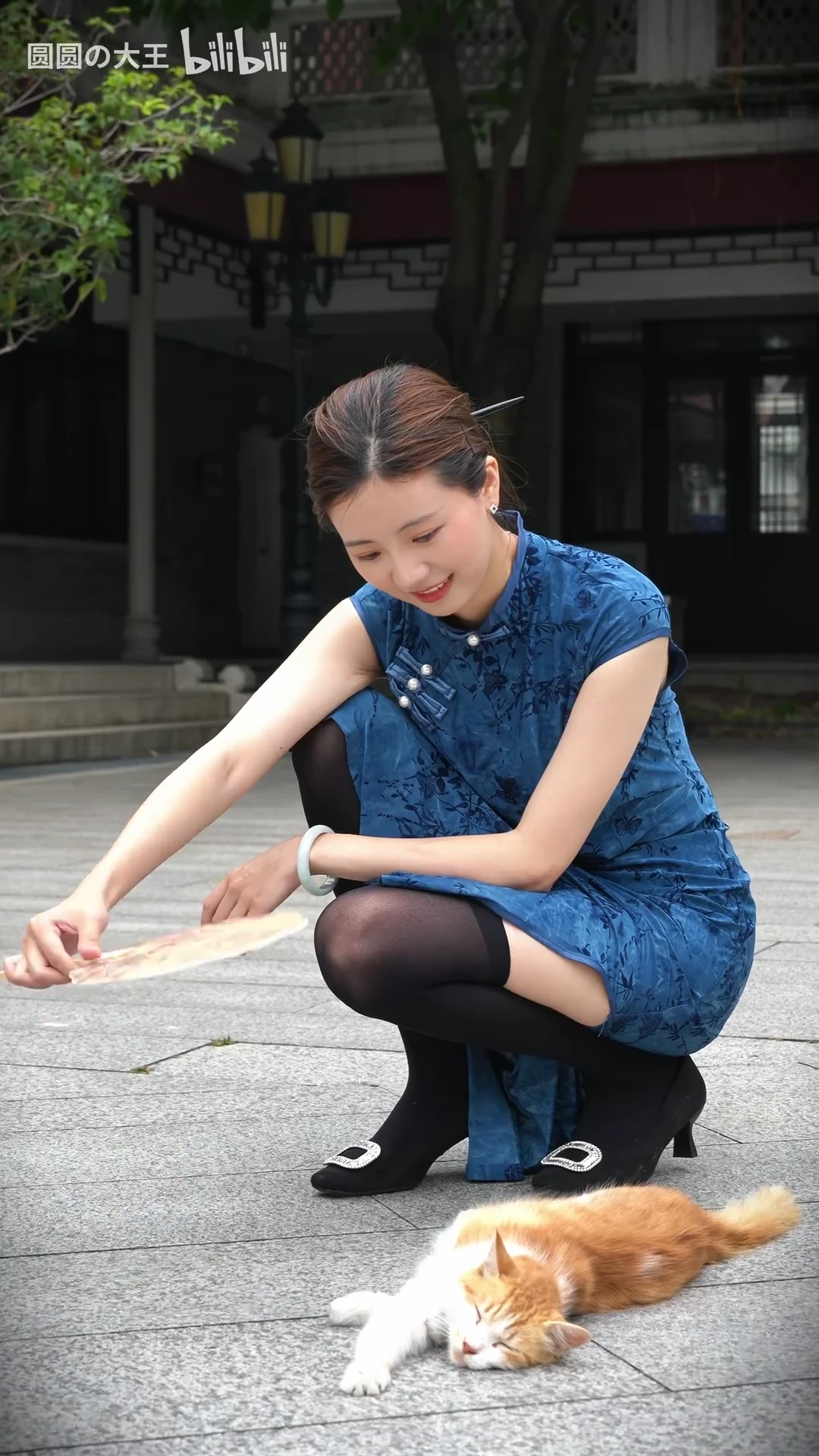 忍不住跟着唱&hellip;曼波~出来拍照发现了这只哈基米，好悠闲_116685604395569_20260821_002545